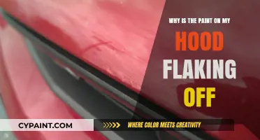 Why Is My Car Hood Paint Flaking Off? Causes & Fixes