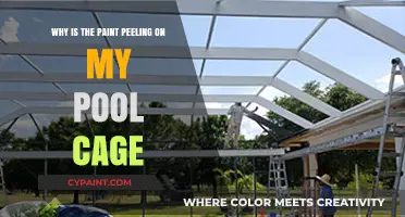 Why Is My Pool Cage Paint Peeling? Causes and Solutions