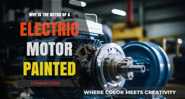 Why Electric Motor Rotors Are Painted: Purpose and Benefits Explained