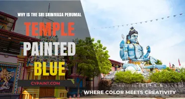 The Mystical Blue Hue of Sri Srinivasa Perumal Temple