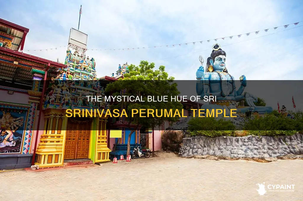 why is the sri srinivasa perumal temple painted blue