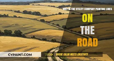 Roadside Refresh: Utility Company's Line Painting Explained