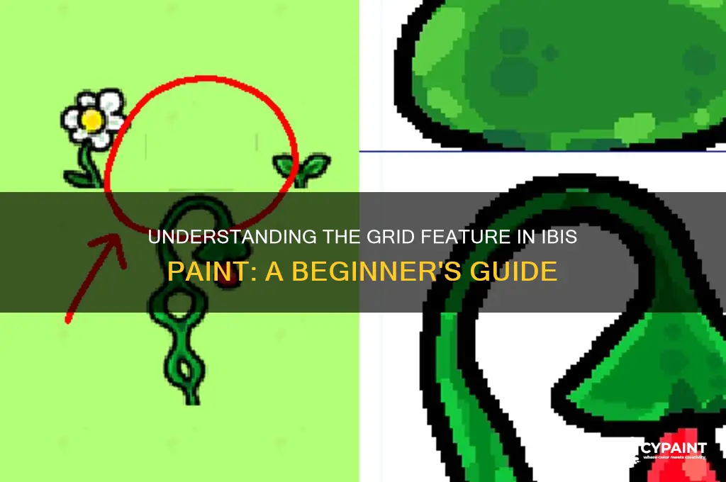 why is there a grid in my ibis paint