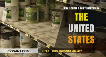 Unraveling the Mystery: Paint Shortage in the United States