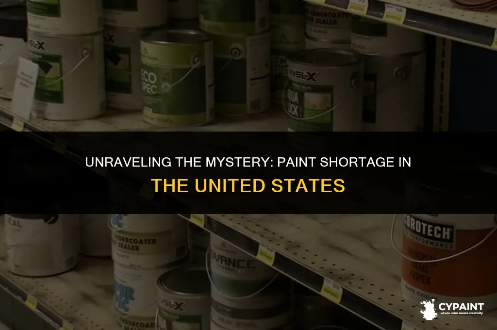 why is there a paint shortage in the united states