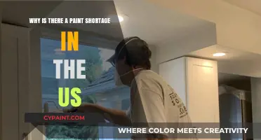 US Paint Shortage: Causes, Impact, and Solutions Explained