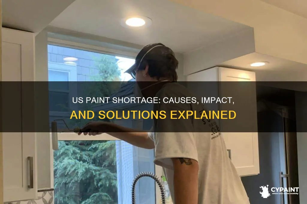 why is there a paint shortage in the us