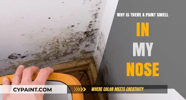 Why Does My Nose Detect a Persistent Paint Smell?
