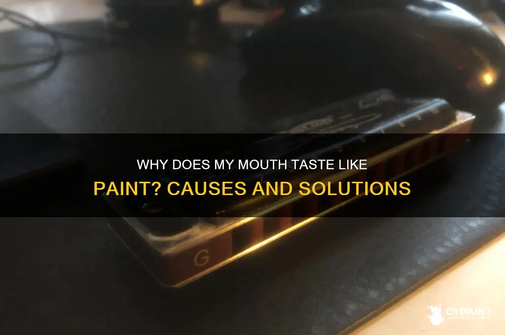 why is there a paint taste in my mouth
