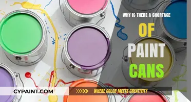 Unveiling the Mystery: Why Paint Cans Are Vanishing from Shelves
