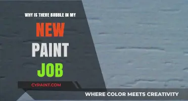 Why Do Bubbles Appear in Fresh Paint? Causes and Solutions