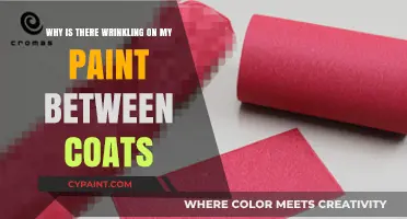 Preventing Paint Wrinkles: Causes and Solutions for Between-Coat Wrinkling