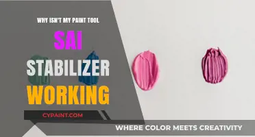 Troubleshooting Paint Tool SAI: Fix Your Stabilizer Issues Now