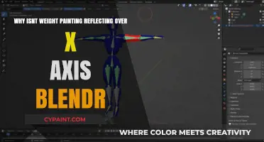 Troubleshooting Weight Painting: X-Axis Reflection Issues in Blender Explained