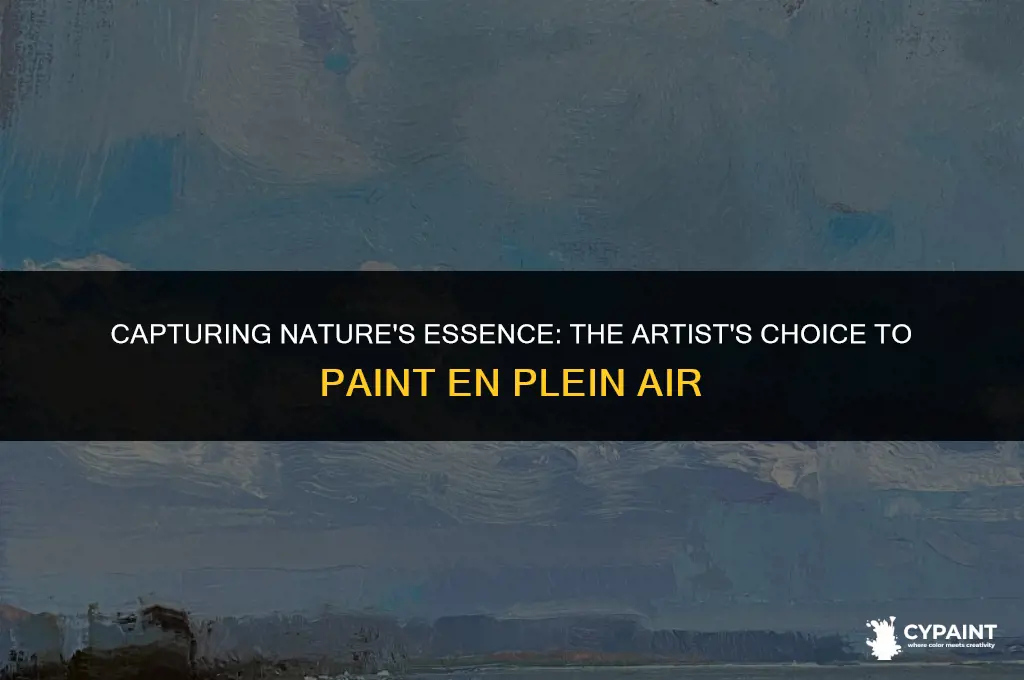 why might an artist choose to paint en plein air