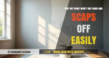 Troubleshooting Paint: Why It Won't Dry Hard and Scrapes Off Easily