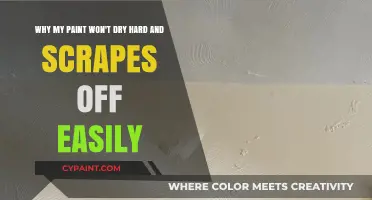 Troubleshooting Paint: Why It Won't Dry Hard and Scrapes Off Easily