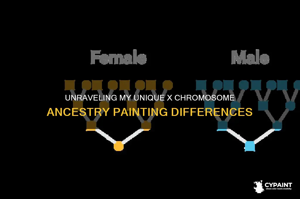 why my whole x chromosom is different ancestry painting
