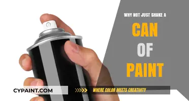 Unleashing Creativity: The Art of Paint Can Shaking