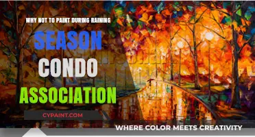 Avoid Rainy Season Painting: Condo Association Tips and Reasons Why