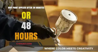 Optimal Paint Application: Timing Secrets for Flawless Results Every Time