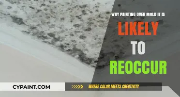 Painting Over Mold: Why It’s a Temporary Fix, Not a Solution