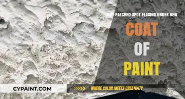 Why Patched Spots Flash Under New Paint: Causes and Solutions