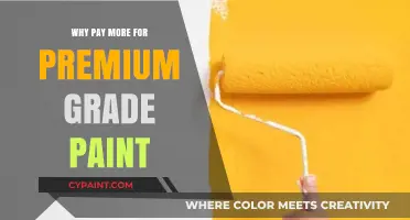 Premium Paint: Why Investing More Delivers Superior Quality and Durability