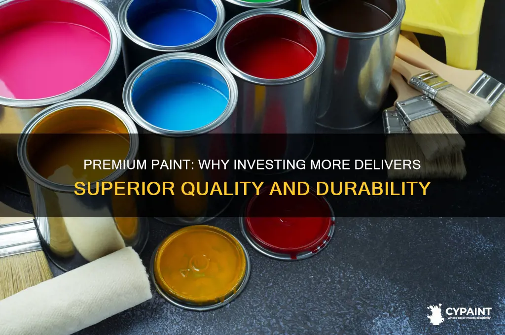 why pay more for premium grade paint