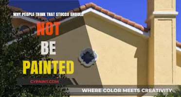 Why Painting Stucco is Often Considered a Homeowner's Mistake