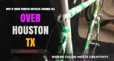 Pedal Power: The Colorful Bike Art Invasion in Houston