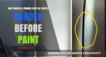 Unleashing Paint's Potential: The Primer Sanding Advantage