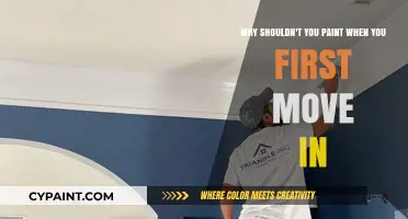 Settling In: Why Rushing to Paint Your New Home Can Be a Mistake
