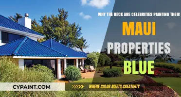 Maui Makeover: Celebrities' Blue Properties Stir Controversy