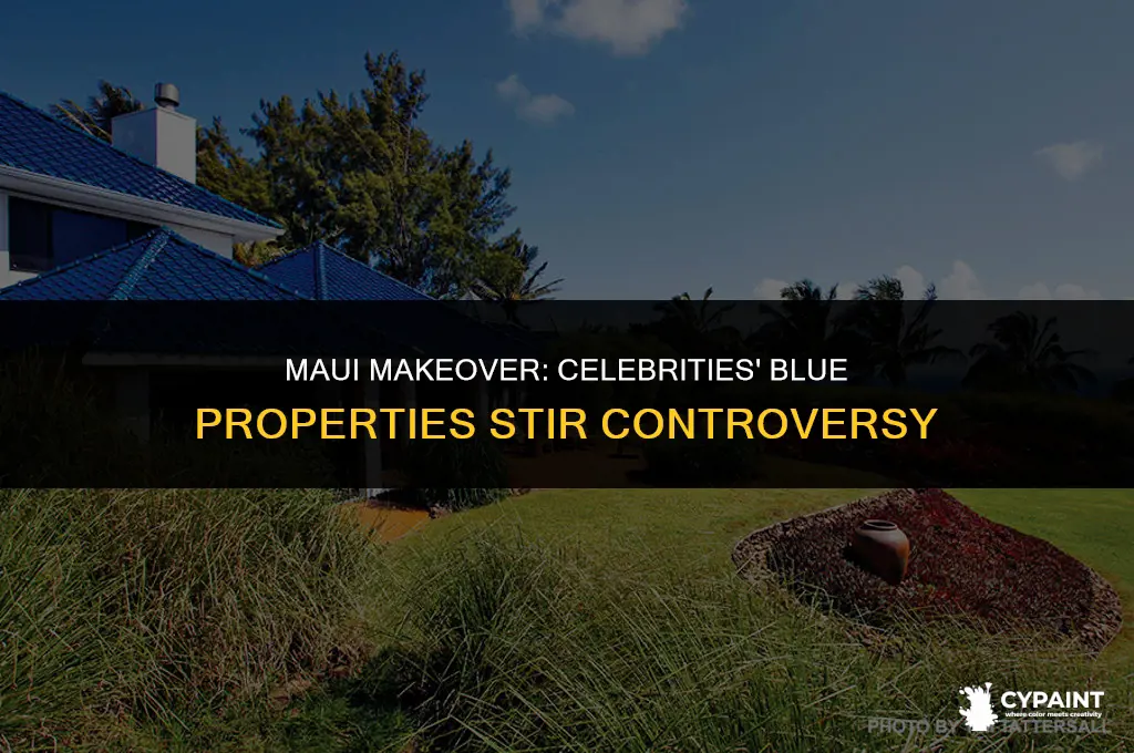 why the heck are celebrities painting their maui properties blue