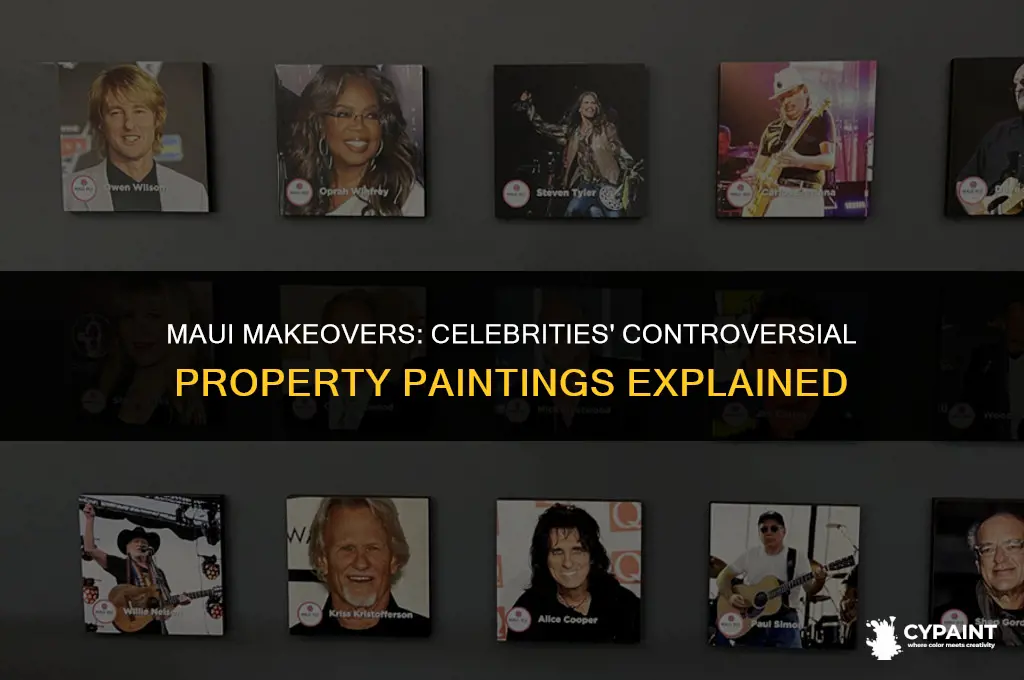 why the heck are celebrity all painting their maui properties