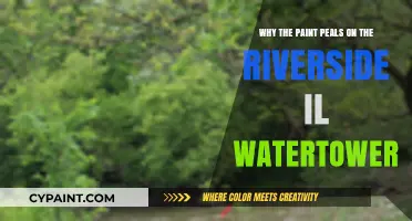 Why Riverside, IL Water Tower Paint Peels: Causes and Solutions