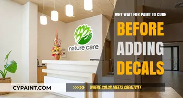 Avoid Decal Disasters: Why Paint Curing Time Matters Before Application