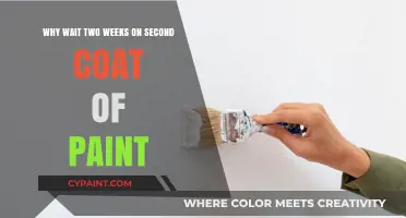 Why Rushing the Second Coat of Paint Can Ruin Your Finish