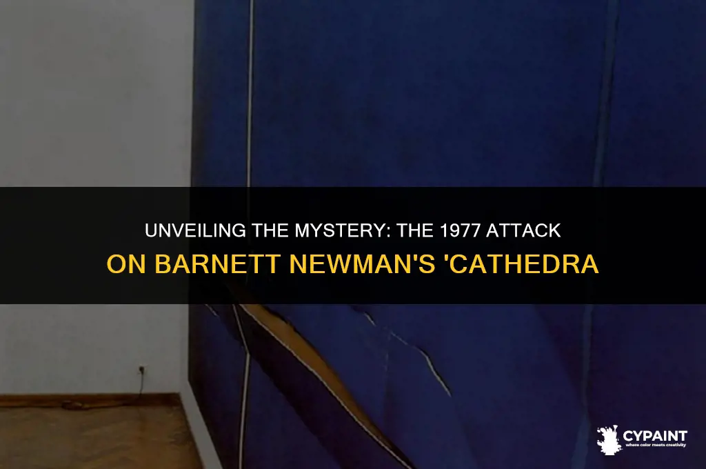why was barnett newman