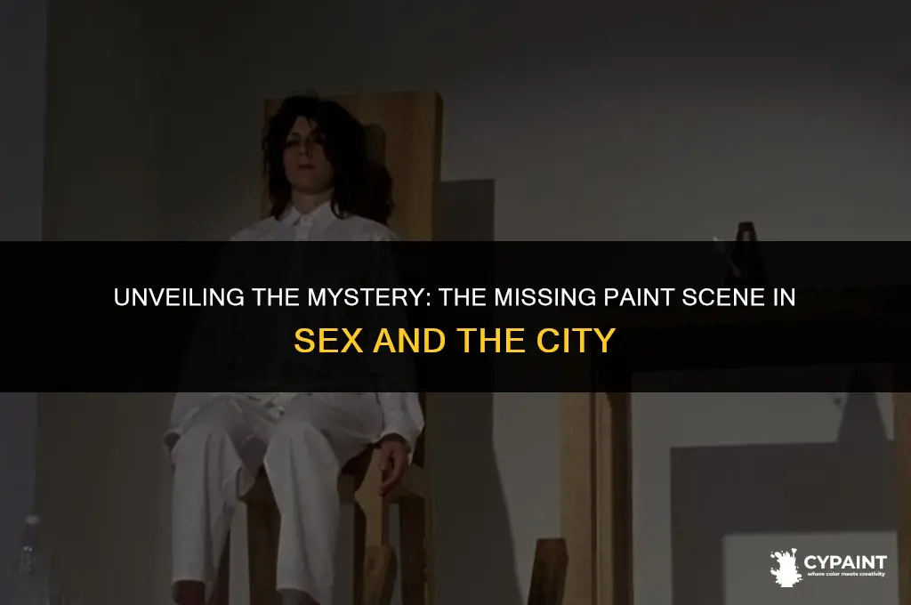 why was paint scene cut from sex and he city