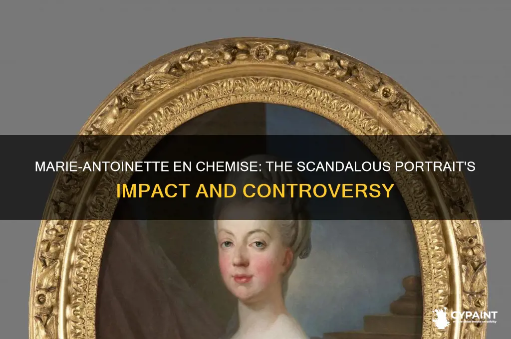 why was the painting marie-antoinette en chemise controversial
