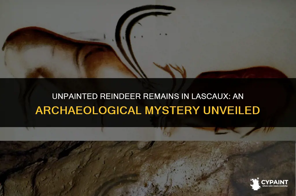 why were reindeer remains founded in lascaux but not painted