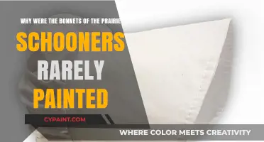Unpainted Prairie Schooner Bonnets: A Historical Mystery Unveiled