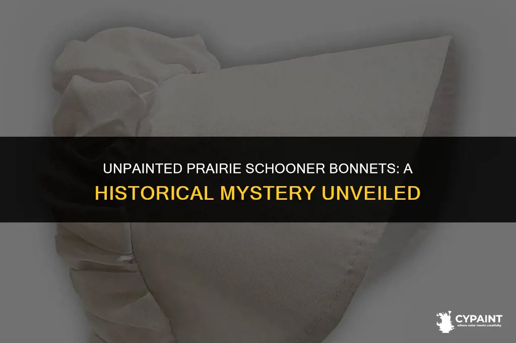 why were the bonnets of the prairie schooners rarely painted