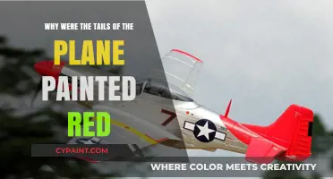 Why Were Plane Tails Painted Red? The Surprising History Revealed