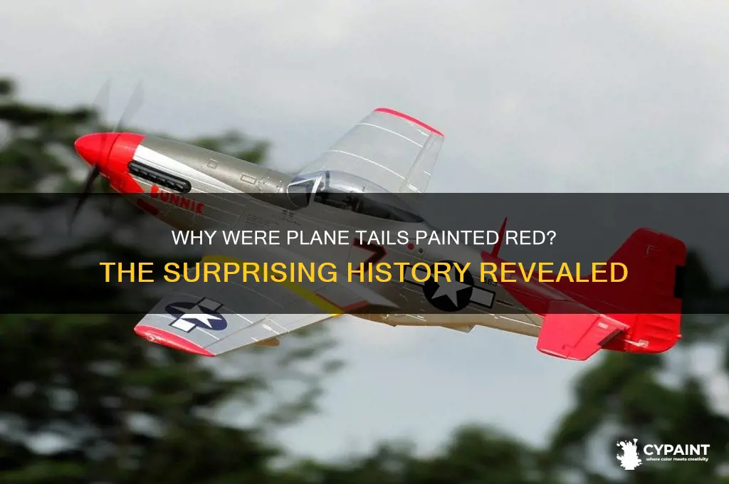 why were the tails of the plane painted red
