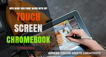 Troubleshooting Ibis Paint on Touchscreen Chromebooks: Tips and Fixes
