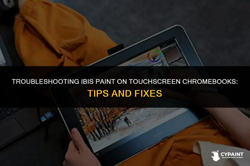 why wont ibis paint work with my touch screen chromebook