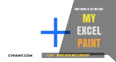 Troubleshooting Excel Paint Editing Issues: Common Causes and Fixes